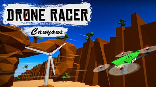 game pic for Drone racer: Canyons